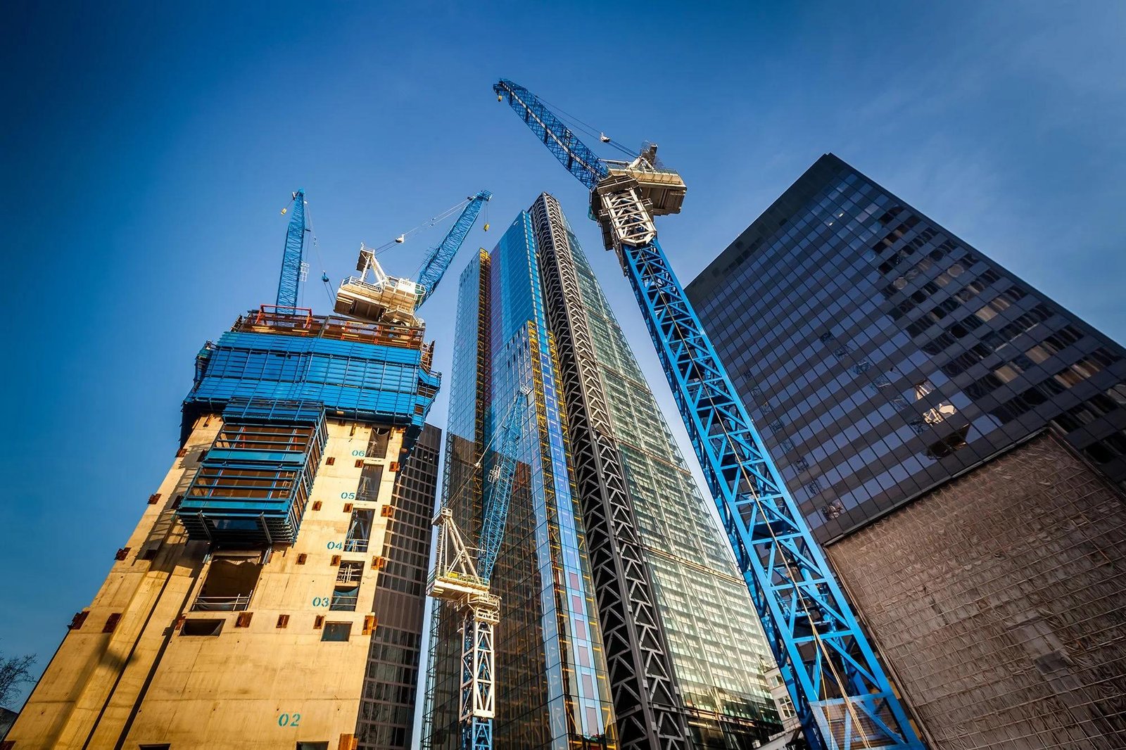 Commercial Project